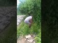 МАГА И КРАПИВА ЧЕ ЗА ЛЕГЕНДА  #юмор #блогер #рекомендации #дуэт #смешновидео #reels #duet #shorts