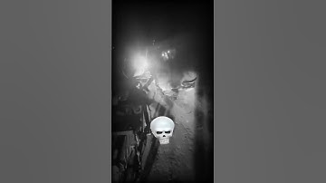 Python Found in the middle of the road 🔥🐍 || #python #onroad #edit #shorts