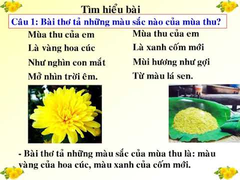 Lớp 3 - Tuần 5 - Tập đọc - Tới trường - Mùa thu của em