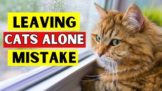 Never Do THIS When You Leave Your Cat ALONE