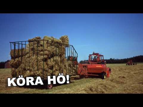 Apan i buren? Nu kör vi småbal!