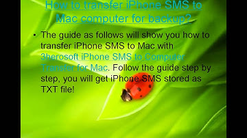 Backuptrans iPhone SMS Backup & Restore for Mac (Mac)