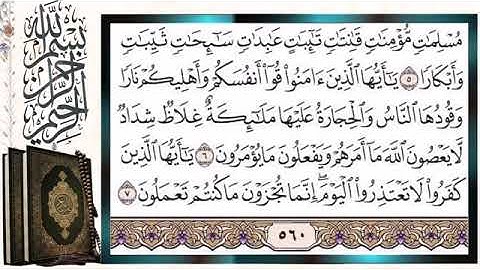سورة التحريم مكتوبة الشيخ ايمن سويد