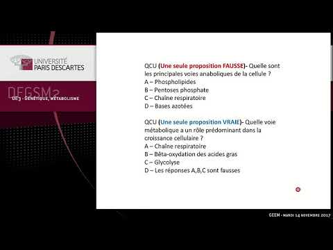 Vidéo: Nouvelle équation Pour Déterminer La Concentration Hépatique De Triglycérides Chez L'homme Par IRM: Diagnostic Et Surveillance Des NAFLD Chez Les Patients Obèses Avant Et Aprè