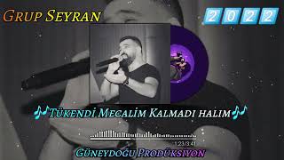 Grup Seyran 🎶 TÜKENDİ MECALİM KALMADI HALIN 2️⃣0️⃣2️⃣2️⃣ Resimi