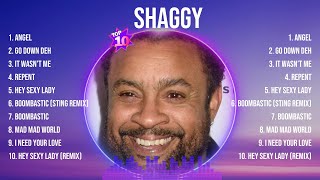 Shaggy Greatest Hits 2024- Pop Music Mix - Top 10 Hits Of All Time