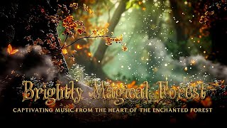 Enchanted Forest Music | 10 Hour Ambient Music & Nature Sounds  Deep Healing Relaxing Music