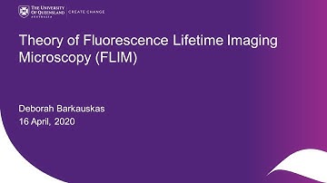 2020 Fluorescence Lifetime Imaging Microscopy (FLIM) webinar