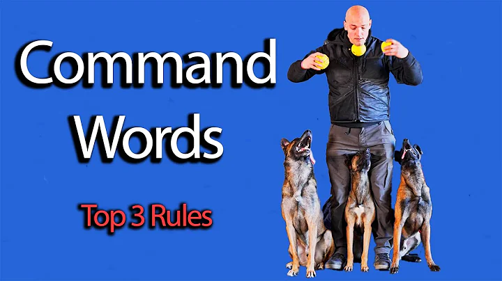 Top 3 Rules for Commands - DayDayNews