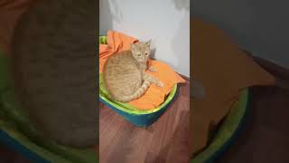 Can Dostlarımın Anısına... 2018-2022