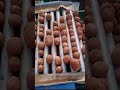 Potato Harvester | Sabin Enterprises| Exporter | Agri Machine & Implements