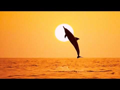 太陽がくれた季節・若松正司編曲（MIDI）