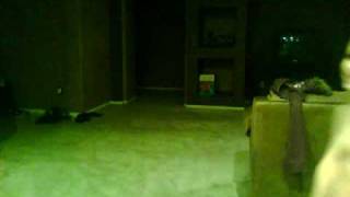 Capture_20091129.wmv