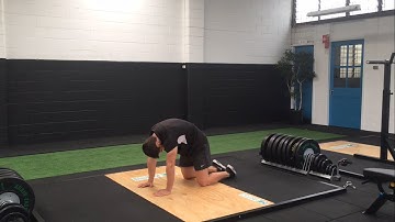 Thoracic Mobility - Cat-Camel