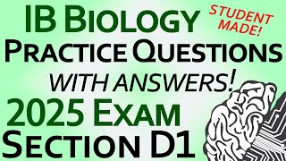 IB Biology 2025 Exam Practice Questions - D1 Replication Protein Synthesis Gene Editing