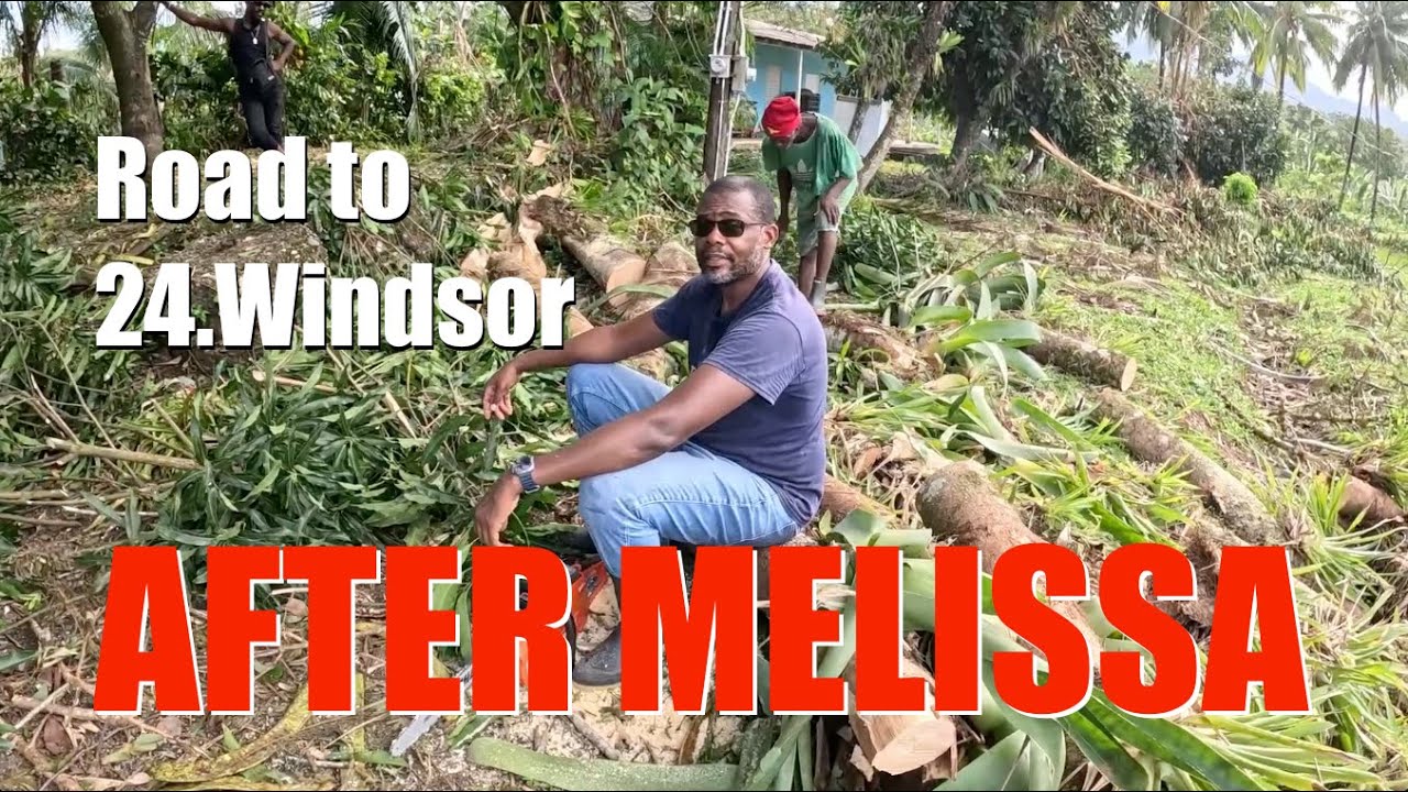 Melissa Aftermath - Our Road to Windsor Portland