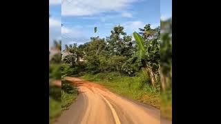 Nyidam sari- prigel pangayu lirik.