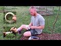 Beginning of video