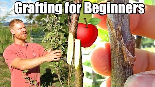 Apple Tree Grafting For Beginners  Learn How To Graft | Includes 6 Months of Updates