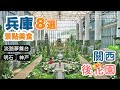 【關西．兵庫】EP6：淡路島夢舞台、明石神戶景點美食8選｜岩屋極品壽司｜神戶牛拉麵｜明石燒｜日本自由行Vlog