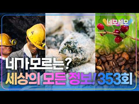 [네모세모] 353회 l 추억 캐러 갑니다! 문경 탄광촌 여행 l 함평의 초록빛 명물 쑥 인절미 l K-커피의 신세계 보령에 커피나무가 자란다!