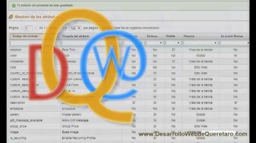 Magento:: Agregar etiquetas en atributo