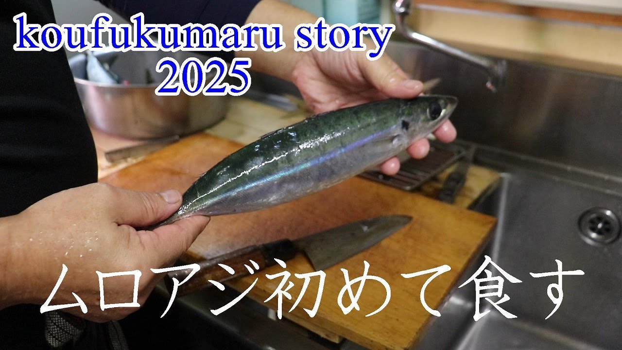 ★元網漁師夫婦の奮闘記★[ムロアジ初食]津軽では珍しいムロアジをもらいました。初めて食すムロアジはいかに・・・。　＃今日の賄い  #ムロアジ #漁師めしランチ