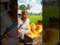 Grandmother and the Golden Chicken #halo #aistory #mhacommunity