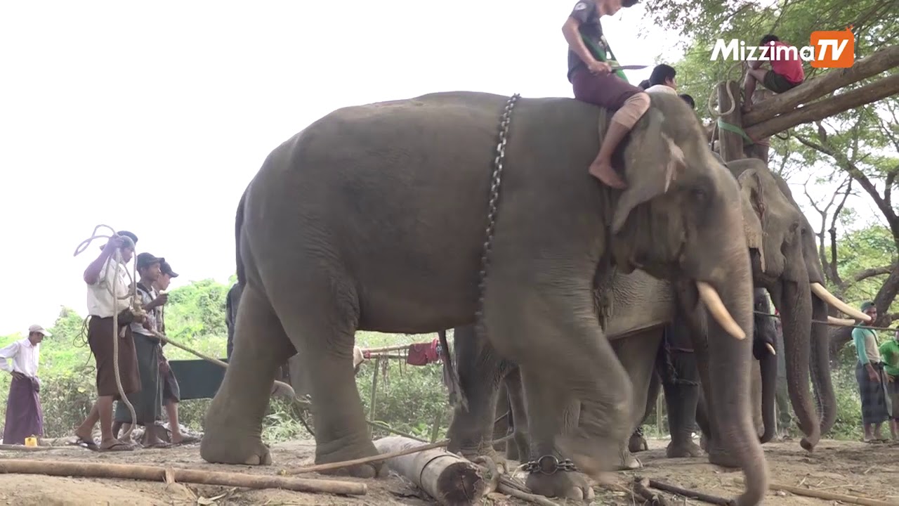 မြိုင်ဟေဝန်က ဆင်ချော့တေး