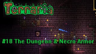The Dungeon & Necro Armor (Best pre- Hardmode Ranger Armor) / Terraria / Part 18