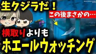 【面白まとめ】横取りよりもホエールウォッチングを優先する868組が面白過ぎたｗ【ととみっくす/ギルくん/とっぴー/らっだぁ/切り抜き】