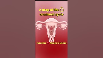 Understanding the menstrual cycle 🩸 #shorts #miracleinmotion #pregnancy  #baby