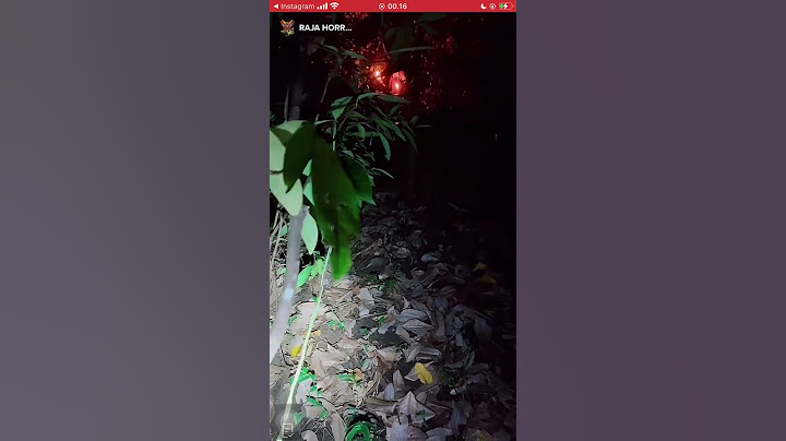 RAJA HOROR OFFICIAL LIVE HUTAN PANTAI SELATAN 25 JANUARI 2023