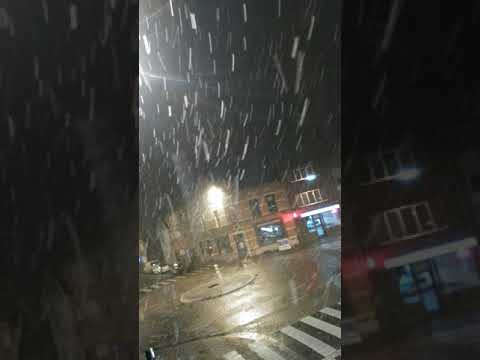 Video: Ninge în Liege?