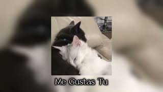 Me Gustas Tu (Speed Up)