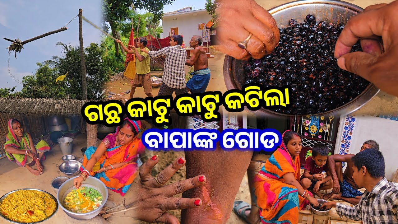 ଗଛ କାଟୁ କାଟୁ କଟିଲା ବାପାଙ୍କ ଗୋଡ || Odia Family Vlog || Tapan Sanju Family Vlog