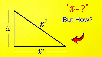98% Students FAILED to Find the Sides of this Triangle?