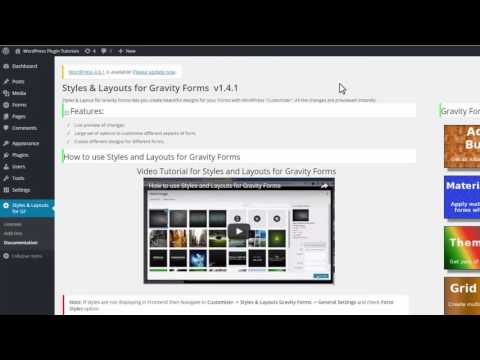 Tutorial for Inserting Font Size of Radio Input in Gravity Forms