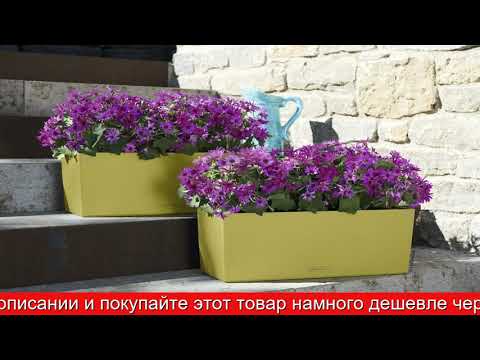 Обзор Настольное кашпо с автополивом Balconera Color | HOFF