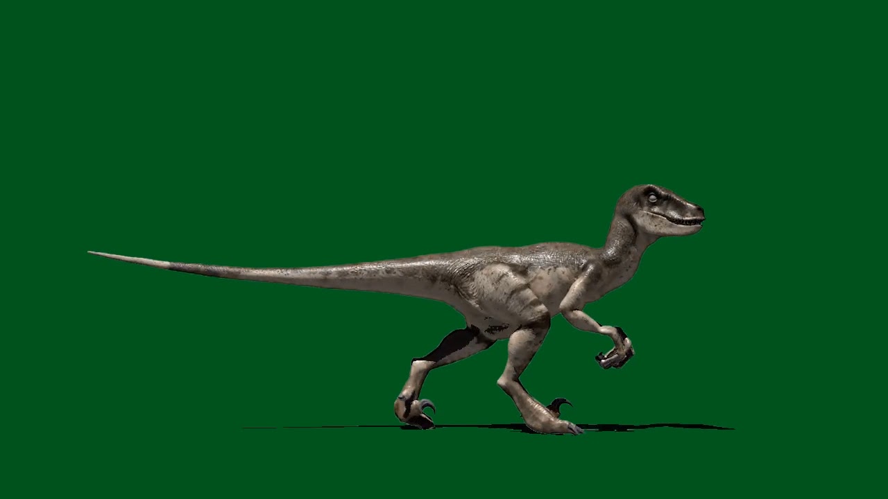 Velociraptor green screen[Green Screen Video channel 4611 - YouTube