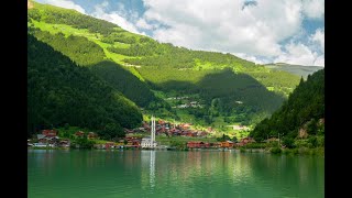 Acapella Shares - Oy Benim Sevdiceğim (Ekin Uzunlar Version)