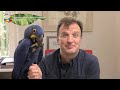 X International Parrot Convention - Moderator Matthias Reinschmidt