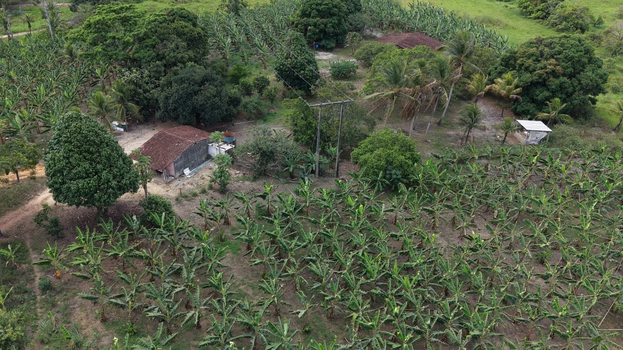 Lindo sítio à venda na zona rural de Bonito Pernambuco 15 hectares $650 mil reais 