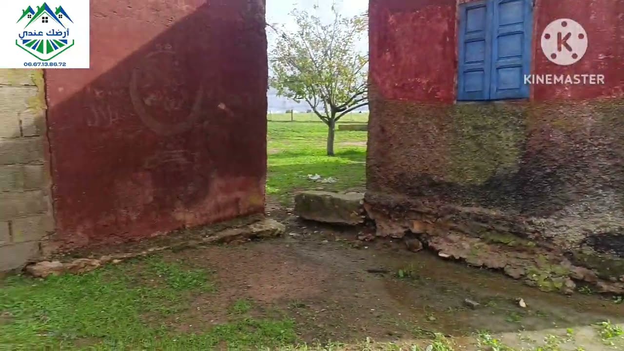 هكتار و 3000 متر مربع محفظة بالسكن والبءر واسطبل نواحي مدينة تيفلت بثمن 90 مليون سنتيم 