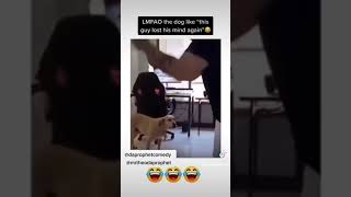 Man Plays Virtual Reality Game With His Dog. Watch The Reaction