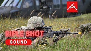 Rifle Shot Echo Series Sound Effect