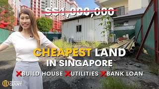 Probably the Cheapest Land You Can Buy in Singapore!