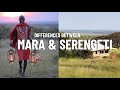 Where to go on an african safari  masai mara vs serengeti