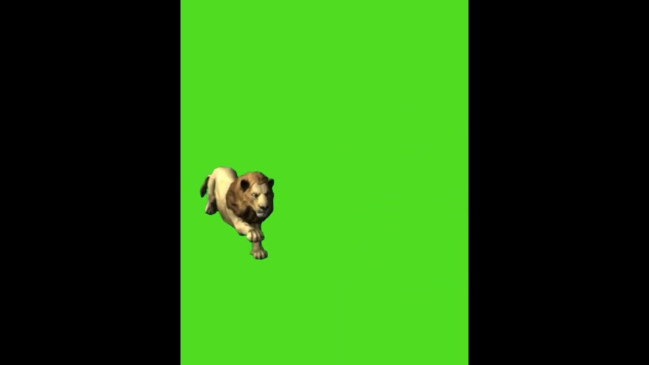 Lion hunting deer green screen video VFX,  Lion hunting VFX designed in Blender.