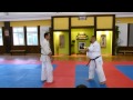 Nariyama Shihan. Atemi waza  Aigamae Gyakugamae (Aikido Shodokan)